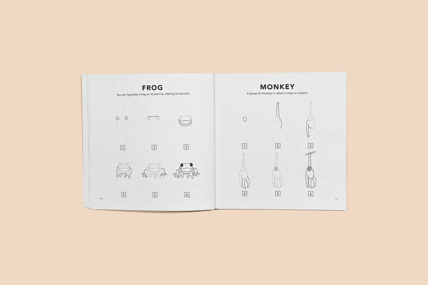 Paige Tate & Co. - All The Animals: A How to Draw Art Book for Kids