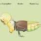 W. W. Norton - Make Your Own Wacky Animals Interactive Books