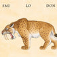 W. W. Norton - Make Your Own Wacky Animals Interactive Books