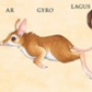 W. W. Norton - Make Your Own Wacky Animals Interactive Books