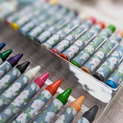 Robert Frederick Ltd - Peter Rabbit Children's 42 Piece Art Set - For Ages 3 to 8 Years - Includes Paints and Crayons