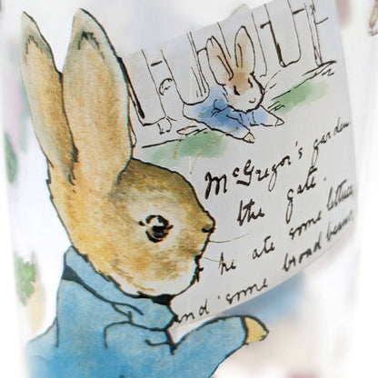 Robert Frederick Ltd - Peter Rabbit Children’s Water Bottle – 500ml BPA-Free Drink Bottle