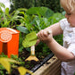 Kinderific - KIDS GARDENING SET, SUNSHINE