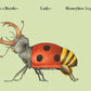 W. W. Norton - Make Your Own Wacky Animals Interactive Books