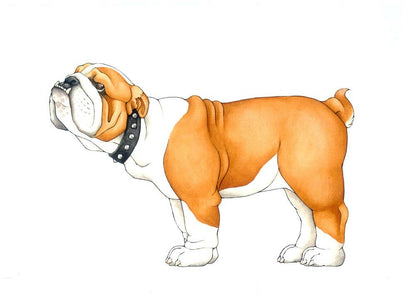 W. W. Norton - Make Your Own Wacky Animals Interactive Books