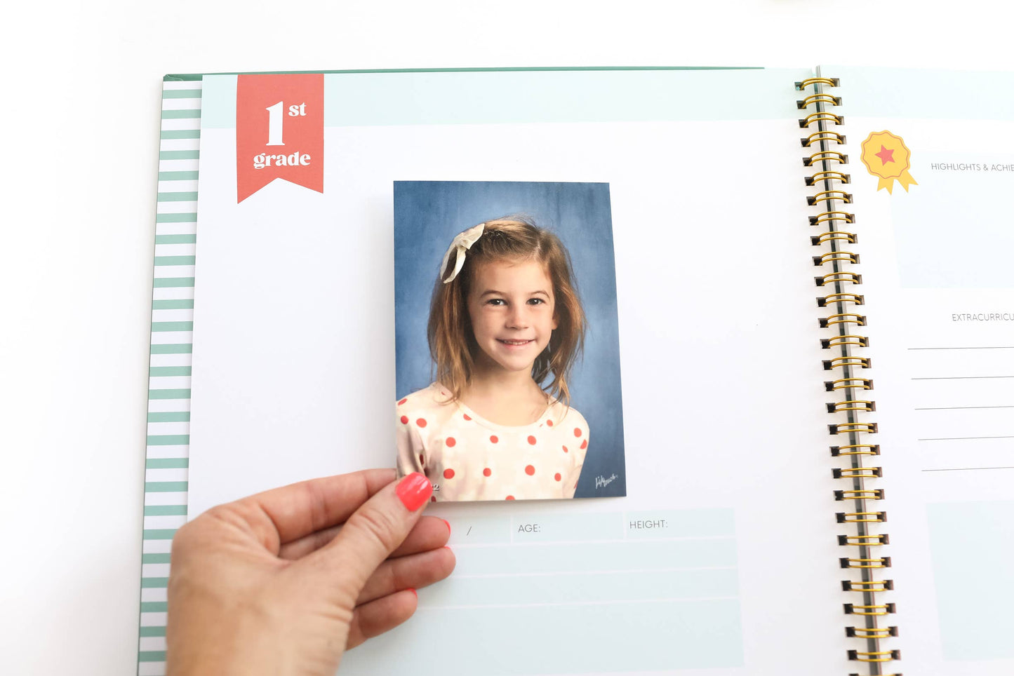 Paper Peony Press - The School Years Memory Book: A Timeless School Memory Book