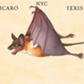 W. W. Norton - Make Your Own Wacky Animals Interactive Books