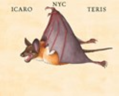 W. W. Norton - Make Your Own Wacky Animals Interactive Books