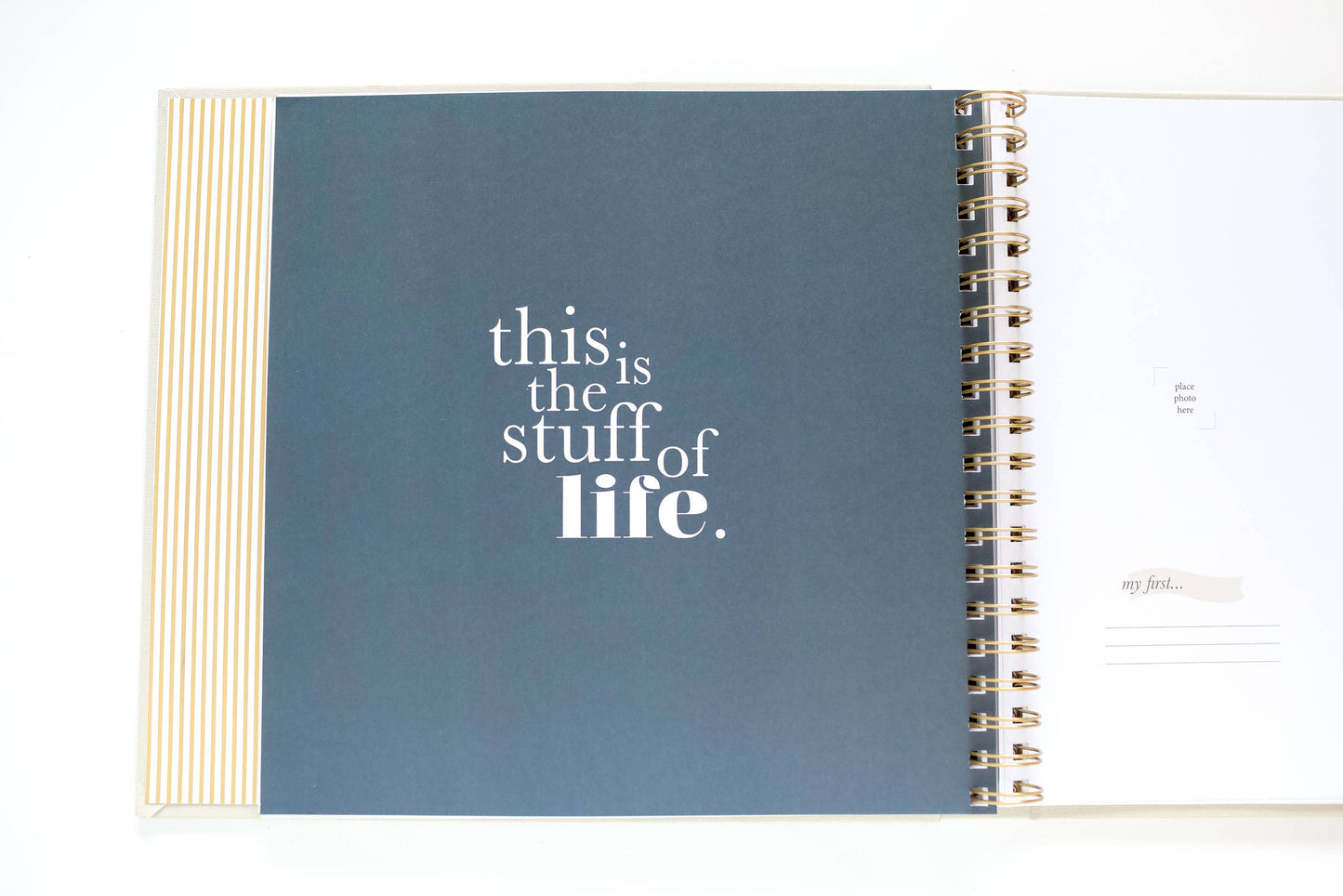 Paper Peony Press - The Baby Memory Book