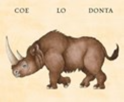 W. W. Norton - Make Your Own Wacky Animals Interactive Books