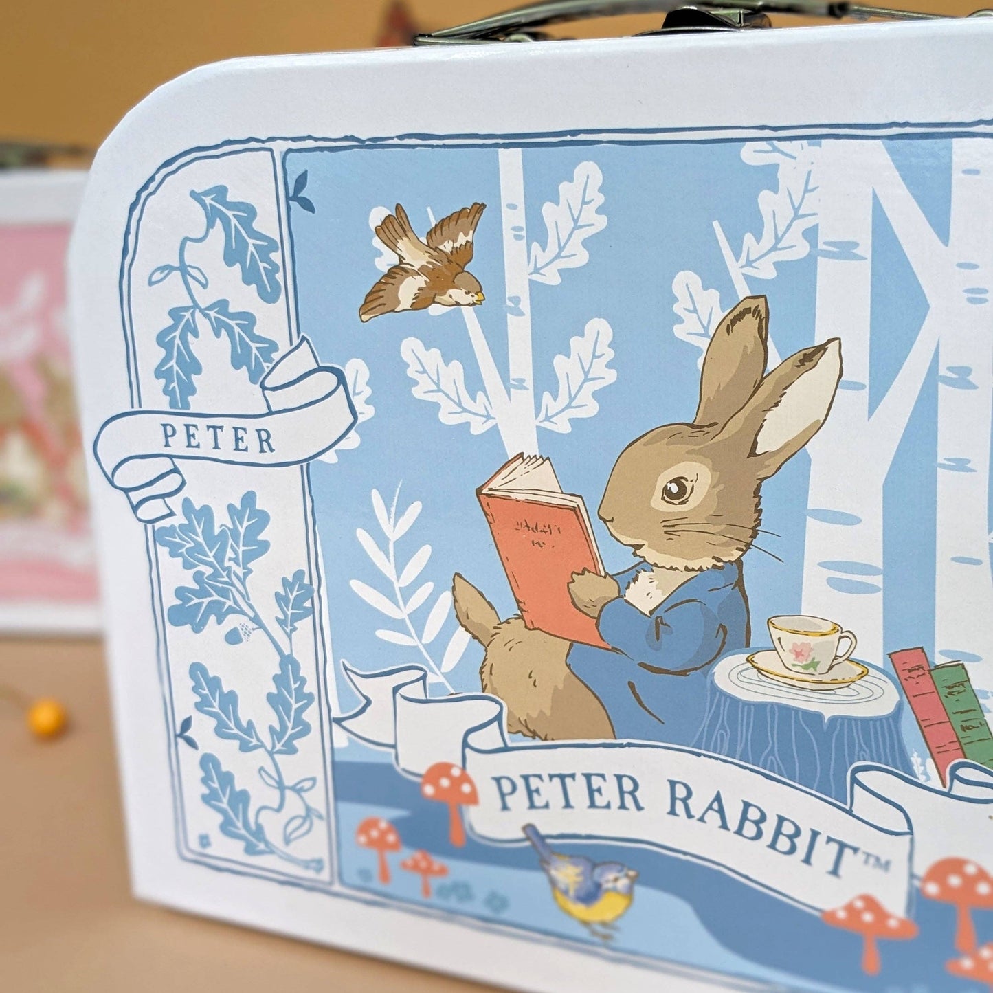 Robert Frederick Ltd - Beatrix Potter Children’s Triple Carry Case Set - Official 3-Piece Storage & Travel Cases