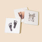 Paige Tate & Co. - Baby's Tummy Time Book Box Set (Baby Gifts)