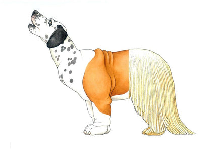 W. W. Norton - Make Your Own Wacky Animals Interactive Books