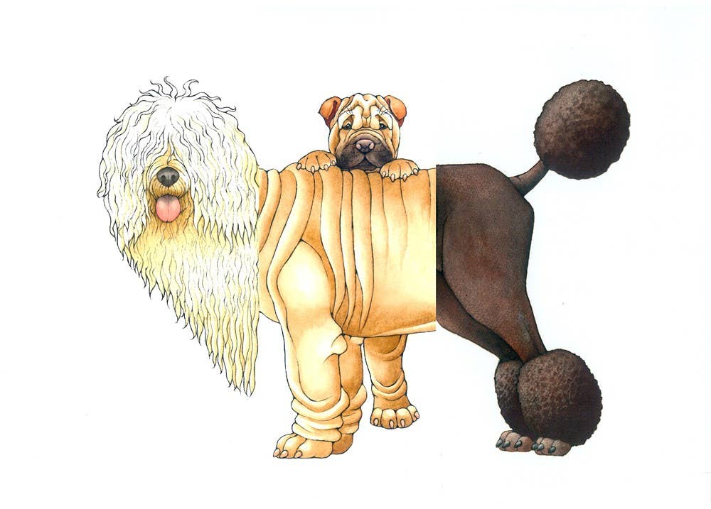 W. W. Norton - Make Your Own Wacky Animals Interactive Books