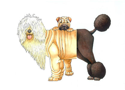 W. W. Norton - Make Your Own Wacky Animals Interactive Books