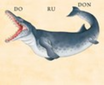 W. W. Norton - Make Your Own Wacky Animals Interactive Books