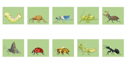 W. W. Norton - Make Your Own Wacky Animals Interactive Books