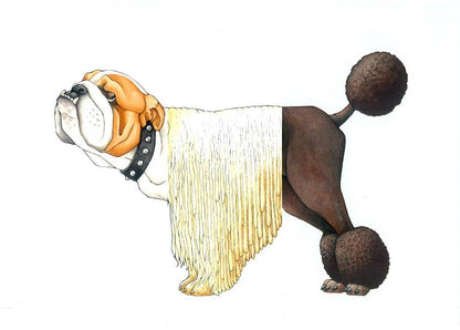W. W. Norton - Make Your Own Wacky Animals Interactive Books