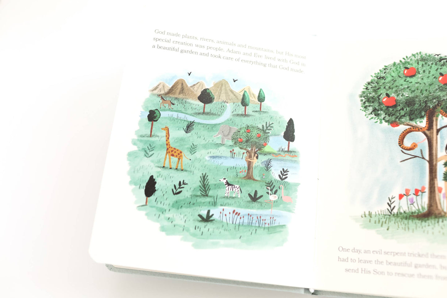 Paper Peony Press - Bible Stories for Little Ones: Baby’s First Bible Board Book