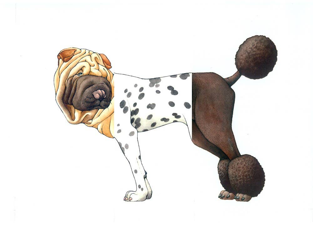 W. W. Norton - Make Your Own Wacky Animals Interactive Books