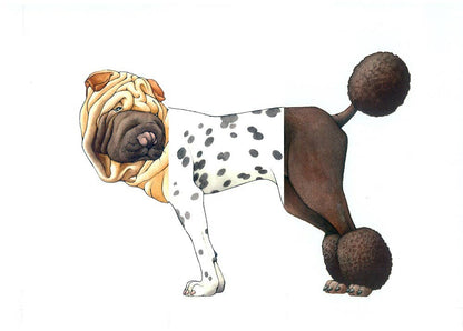 W. W. Norton - Make Your Own Wacky Animals Interactive Books