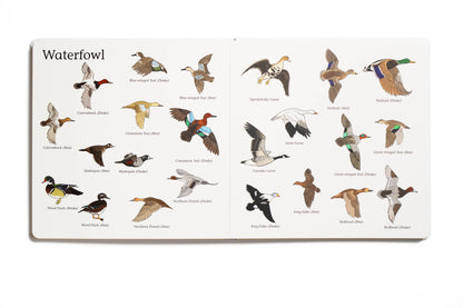Explore the Outdoors Books - The Big Book of Hunting