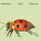 W. W. Norton - Make Your Own Wacky Animals Interactive Books