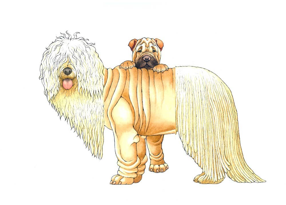 W. W. Norton - Make Your Own Wacky Animals Interactive Books