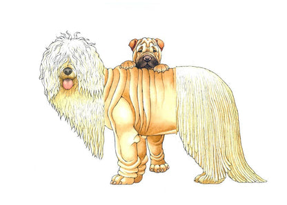 W. W. Norton - Make Your Own Wacky Animals Interactive Books
