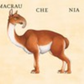 W. W. Norton - Make Your Own Wacky Animals Interactive Books